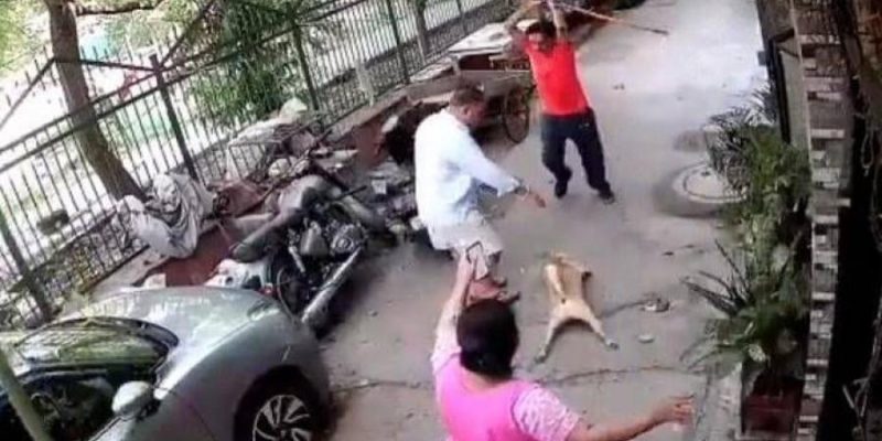 هندي يتحول إلى وحش بعد ان عضه كلب