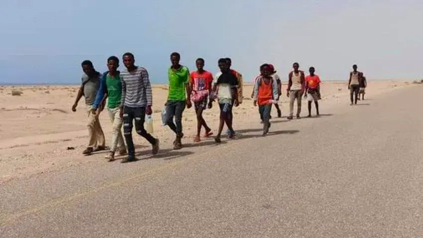 عمليات القتل الممنهج للمهاجرين الأفارقة على أيدي مسؤولي الأمن السعودي بالحدود اليمنية