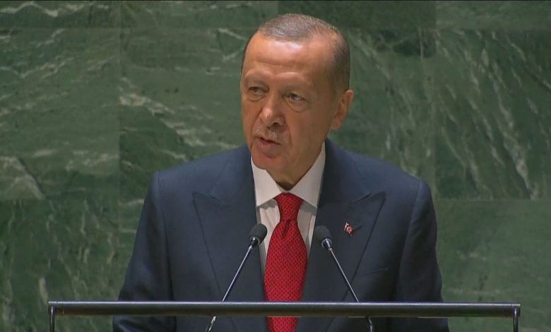 الرئيس التركي يدعو الى حل الازمة اليمنية في إطار الوحدة الوطنية